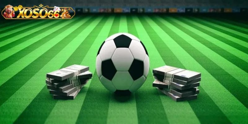 So sánh Thể thao Xoso66 với các nhà cái thể thao khác