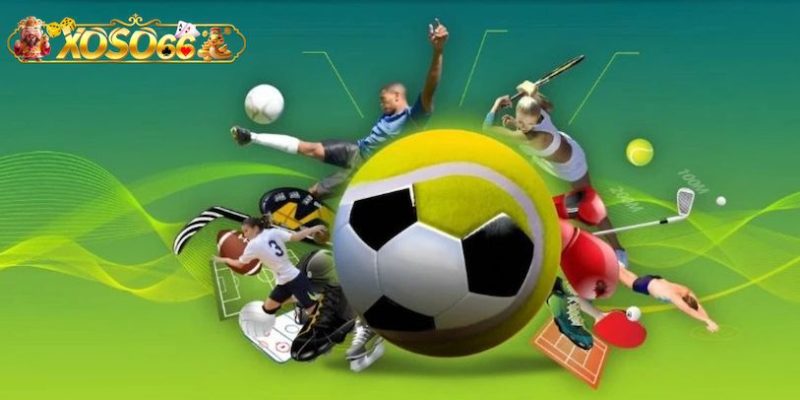 Các môn thể thao phổ biến có thể cược tại nhà cái Xoso66